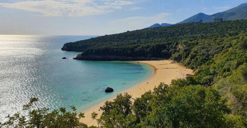 Sesimbra e Arrábida Natural Park: 1 Day Tour & Wine Tasting - An Overview of the Experience