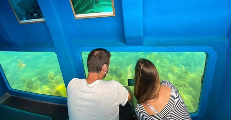 Sesimbra: Family Friendly Boat Sea Tour w/ Submarine Vision - What Could Be Better?