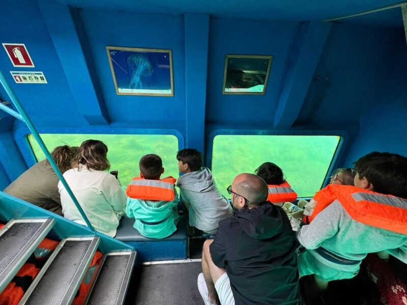 Sesimbra: Family Friendly Boat Sea Tour w/ Submarine Vision - FAQs