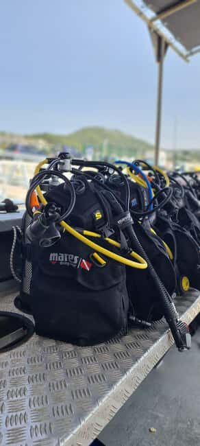 Sesimbra: First Scuba Diving Experience in the Ocean - FAQ