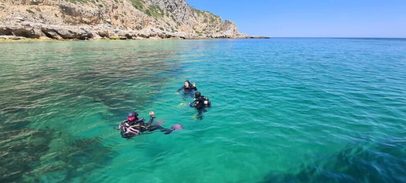 Sesimbra: Open Water Diver Course with 5 Dives - The Bottom Line: Who Should Consider This Experience?