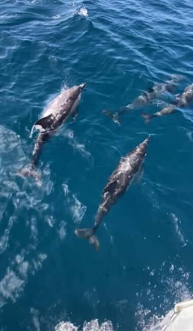 Sesimbra: Sailingboat Tour with Snacks & Drinks - Key Points