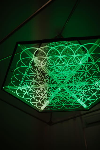 Session in the Tachyone Med bed - Cost and Value: Is $169 Worth It?