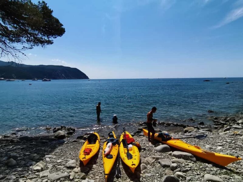 Sestri Levante: Kayak Excursion in the Biodiversity of the Bay of Gold - What to Expect from the Tour