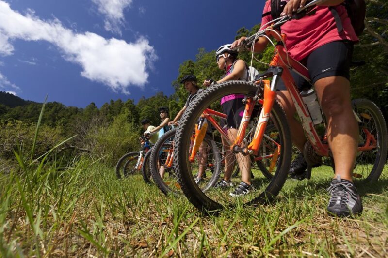 Sete Cidades Bike Rental - What Is This Experience About?