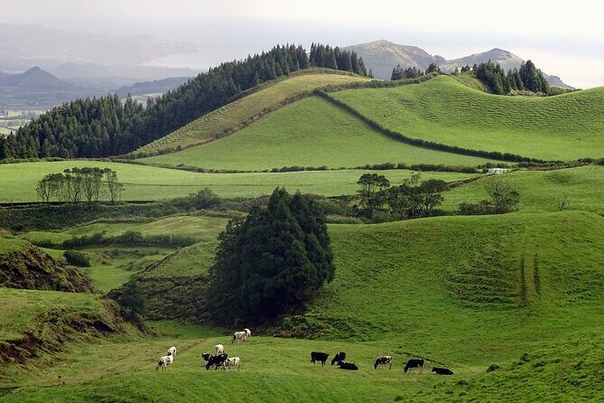 Sete Cidades by Van (half day) - What to Expect from the Tour