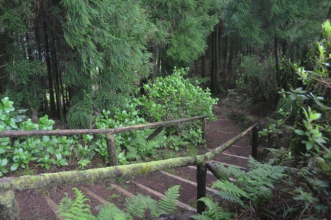 Sete Cidades, Hike Serra Devassa and Boca do Inferno - Who Should Consider This Tour