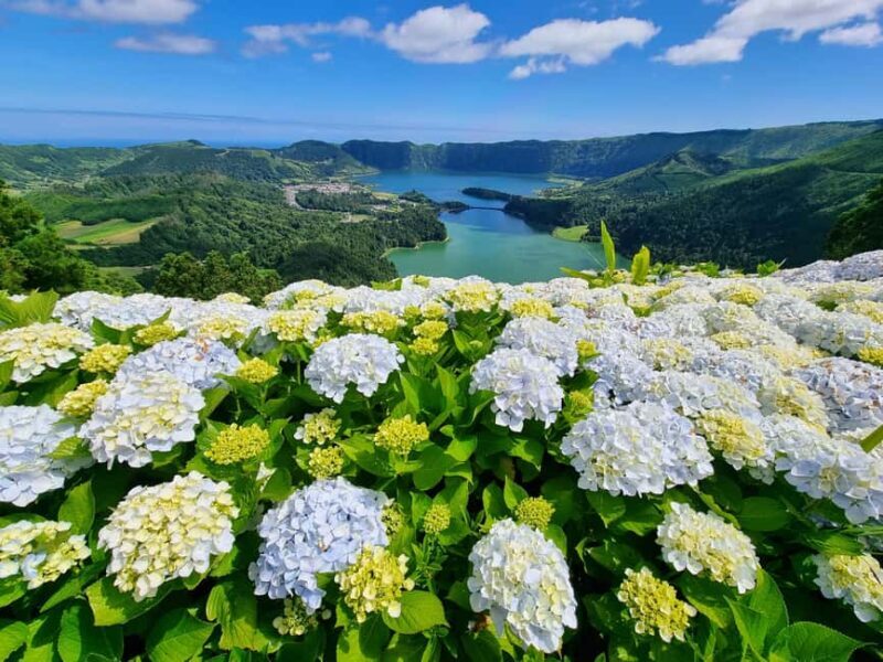 Sete Cidades / Lagoa do Fogo - Full Day Tour - The Experience in Detail