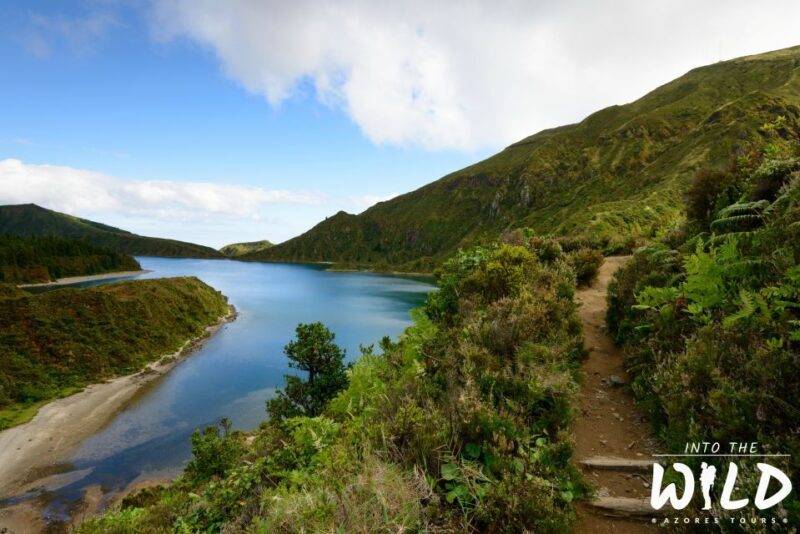 Sete Cidades & Lagoa do Fogo - Full-Day Tour - A Deep Dive into the Experience