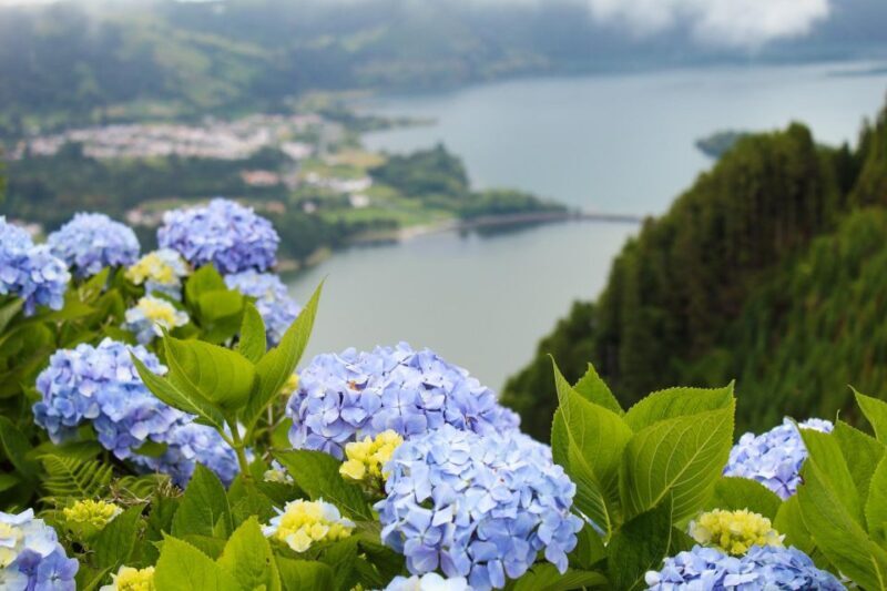 Sete Cidades & Lagoa do Fogo: Full Day Tour with Lunch - Key Points
