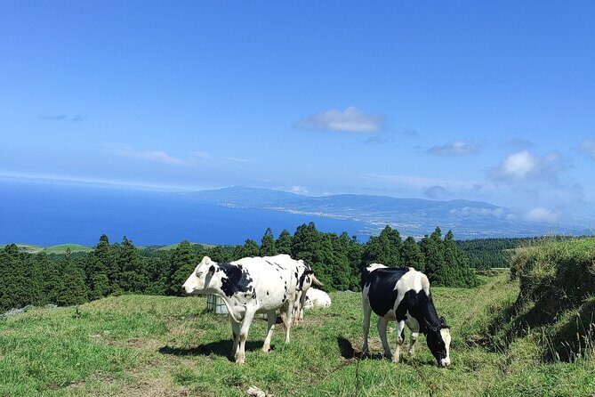 Sete Cidades on Jeep - Exploring the Sete Cidades Jeep Tour: An Honest Look