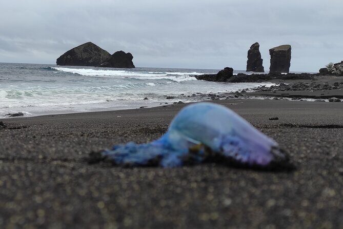 Sete Cidades on Jeep - How the Tour Unfolds