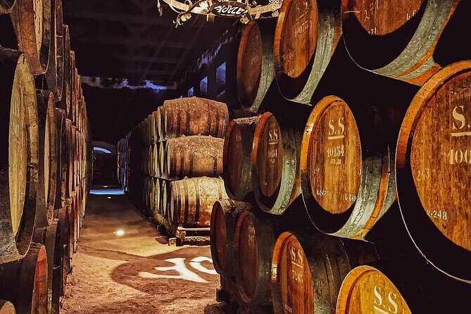 Setúbal & Arrábida: Full Day Tour  Wine and Nature - Nature and Panoramic Vistas