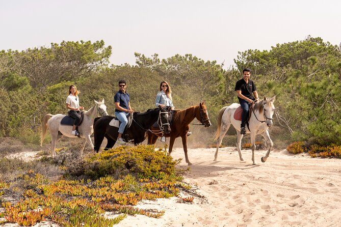 Setubal & Comporta Trip with Horseback Riding from Lisbon - A Full Look at the Experience