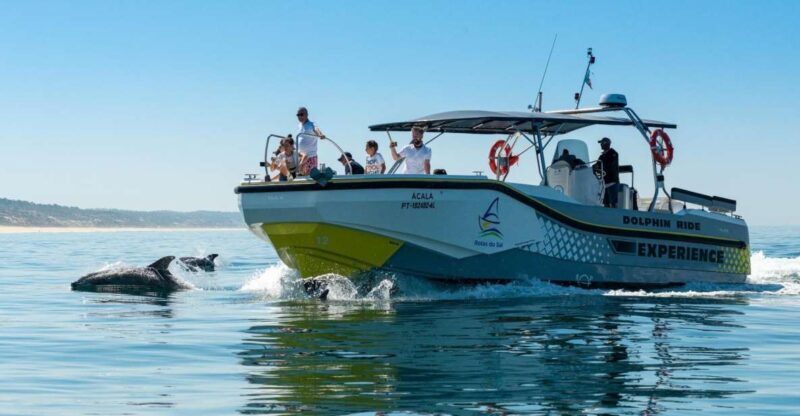 Setúbal: Dolphin Watching Boat Tour - Downsides or Considerations