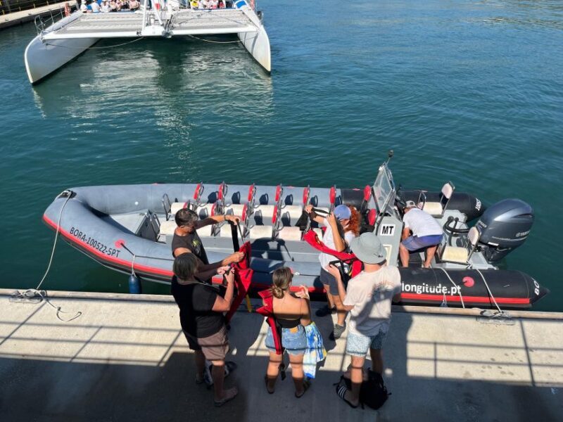 Setúbal: Dolphin-Watching Boat Tour - The Practicalities