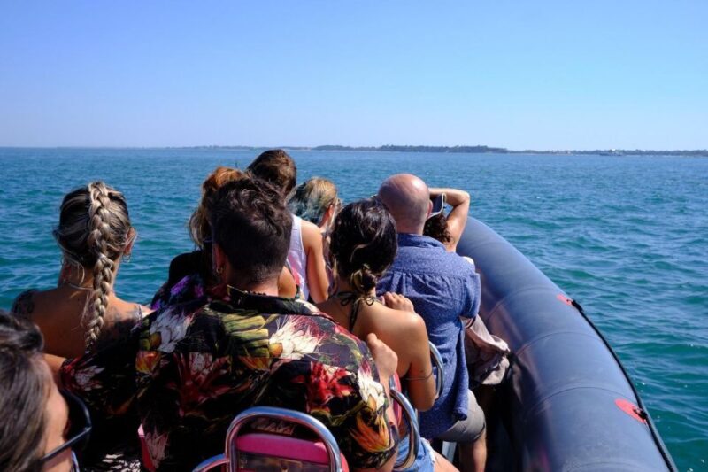 Setúbal: Dolphin-Watching Boat Tour - Final Thoughts