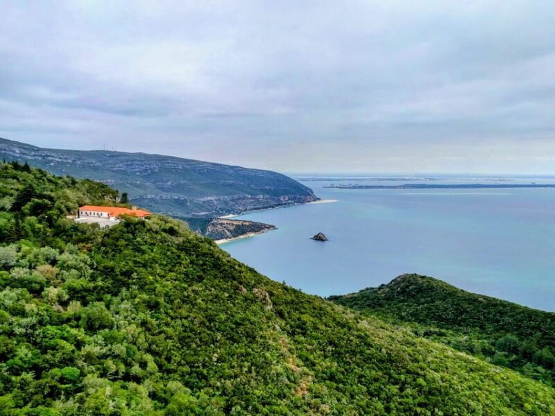 Setúbal: Market, Tiles and Wine (From Lisbon) - Key Points