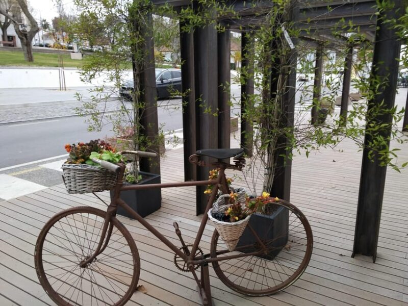 Setúbal: Market, Tiles and Wine (From Lisbon) - Frequently Asked Questions