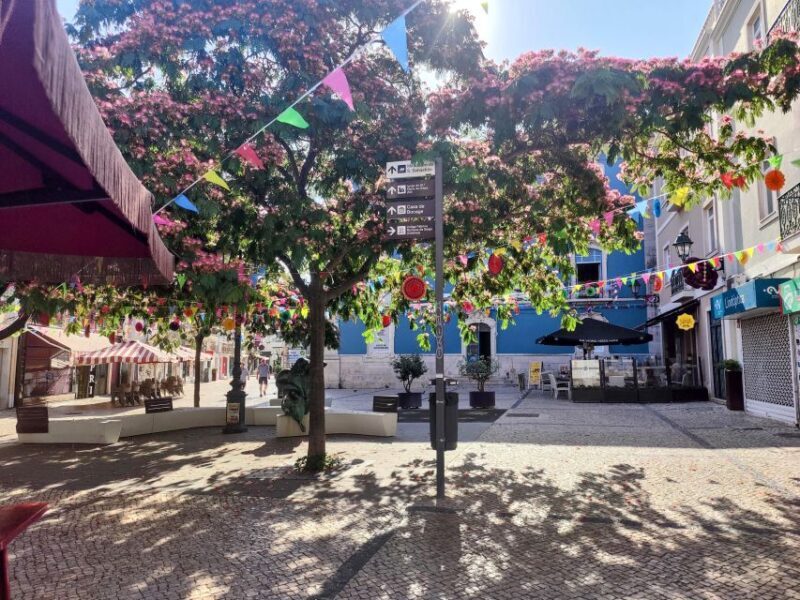 Setúbal Private Walking Tour: Off-the-Beaten-Path Charms - The Highlights of the Tour