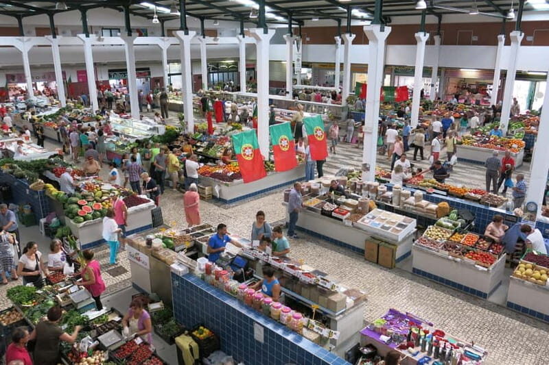 Setúbal: Private Walking Tour with Tastings - Key Points