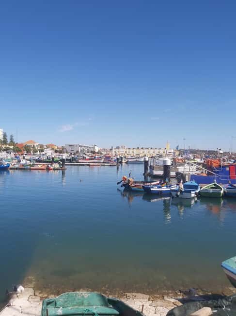 Setúbal Secrets& Arrabida Mountain Magic: From Lis |Private - Who Is This Tour Best Suited For?