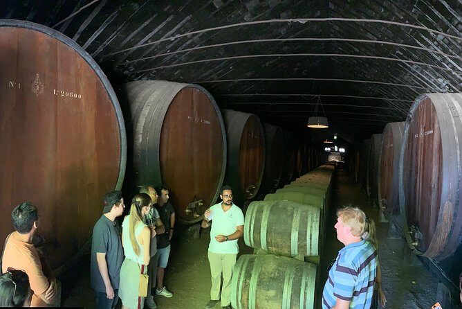 Setúbal Wine Tour with Visit and Tasting at 2 Wineries - Final Thoughts