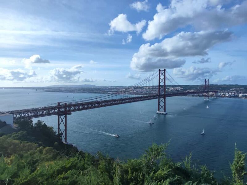 Setúbal,Sesimbra& Palmela - Nature&Culture - Who Will Love This Tour?