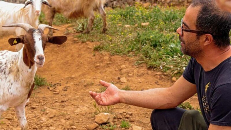 Seulo: Farm Tour with Local Product Tasting - Key Points