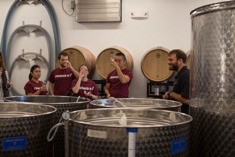 Seven Birches Winery - Meet the Winemakers Winery Tour - A Closer Look at the Tour Experience