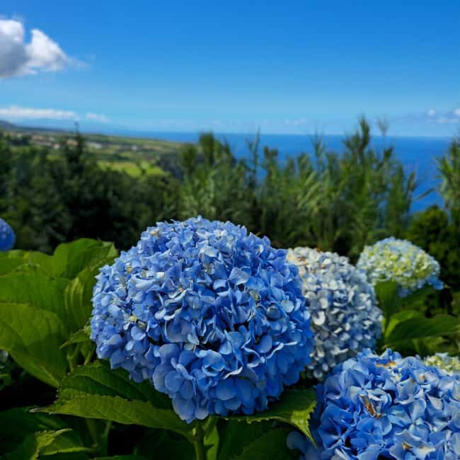 Seven Cities and Lagoa do Fogo Full-Day Tour - A Day of Diverse Scenery and Cultural Highlights