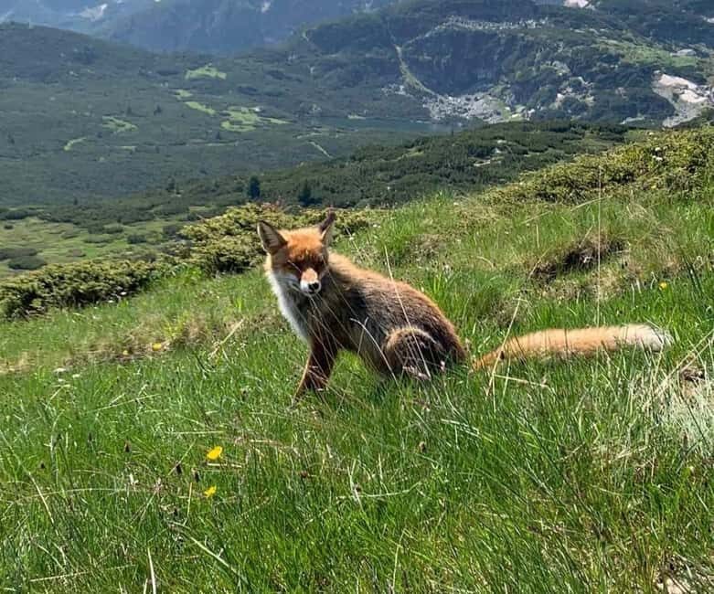 Seven Rila Lakes - Full Day Hiking Trip in the Rila Mountain - Key Points