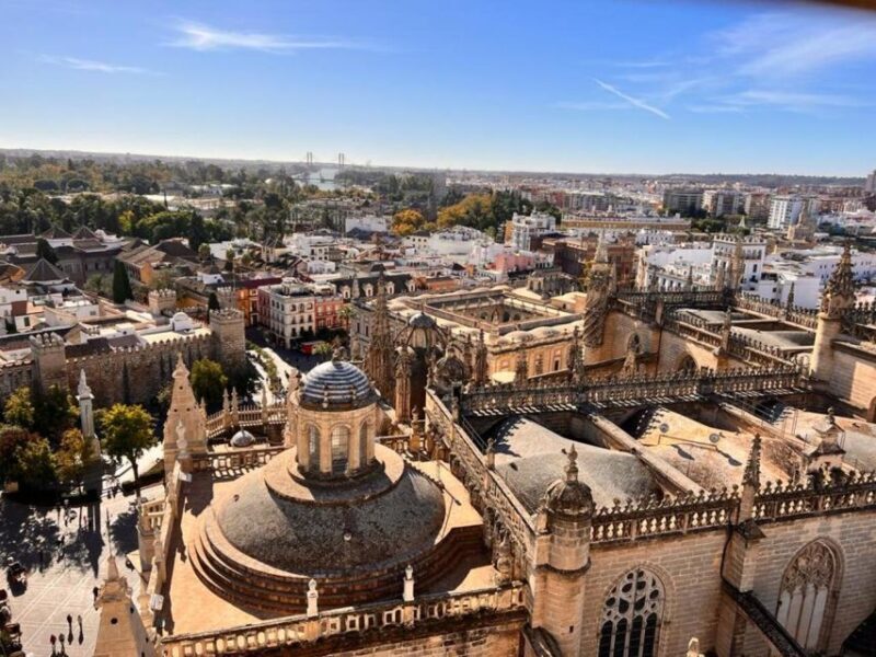 Sevilla: Alcazar and Cathedral Private Tour - Key Points