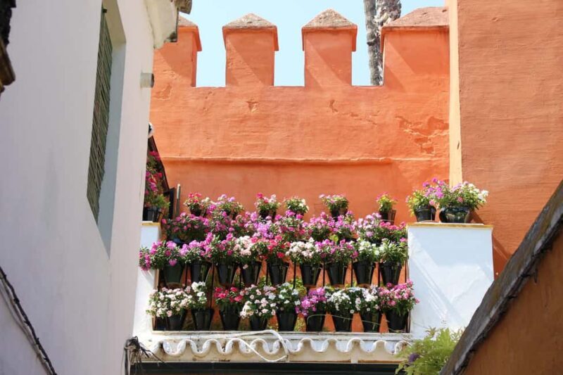 Sevilla Milenaria: legado de judíos, cristianos y musulmanes - Who is this tour best suited for?