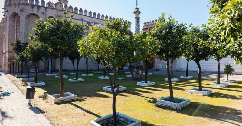 Sevilla: San Isidoro del Campo Monastery Guided Tour - An Inside Look at the San Isidoro del Campo Monastery Tour
