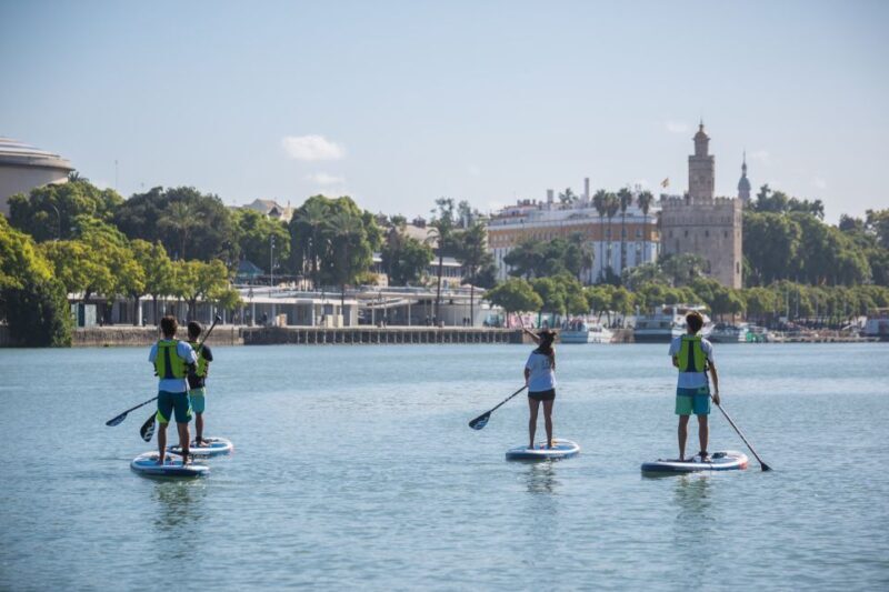 Seville: 1.5-Hour Daytime Standup Paddleboarding Tour - Why You Might Love the Seville Paddleboarding Experience