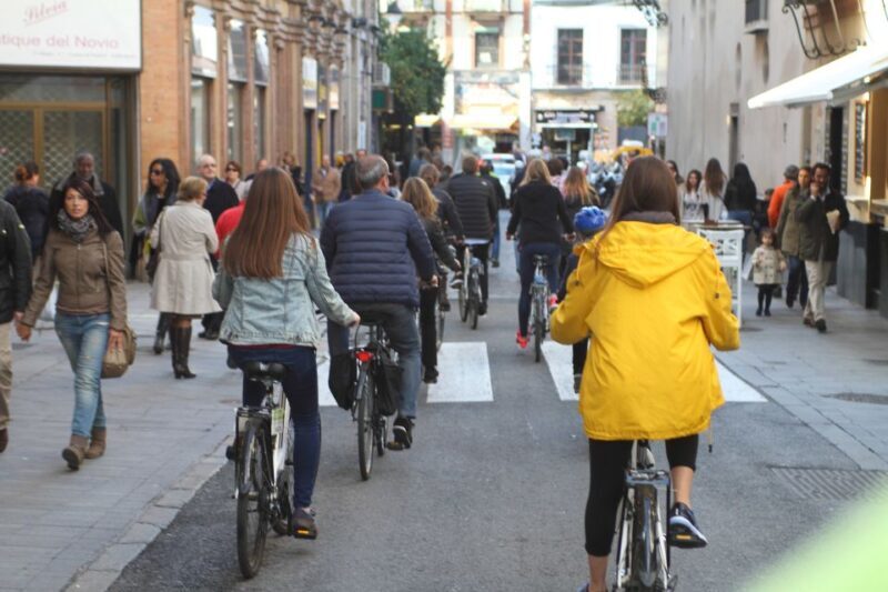 Seville: 1-Day Bike Rental - What You Can Expect from the Bike Rental