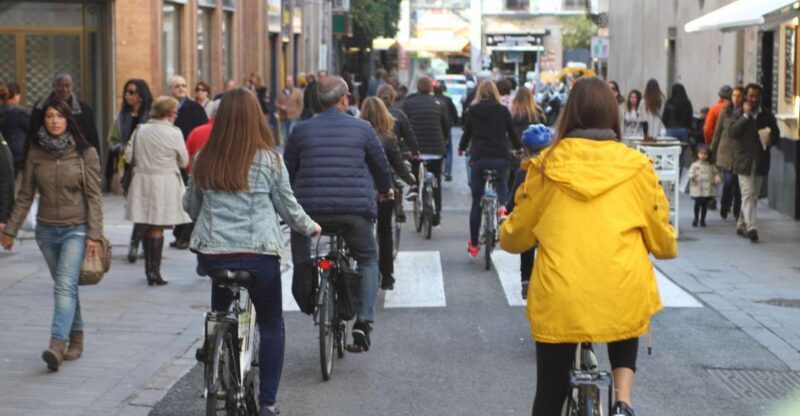 Seville: 1-Day Bike Rental - The Realities of the Bike Condition