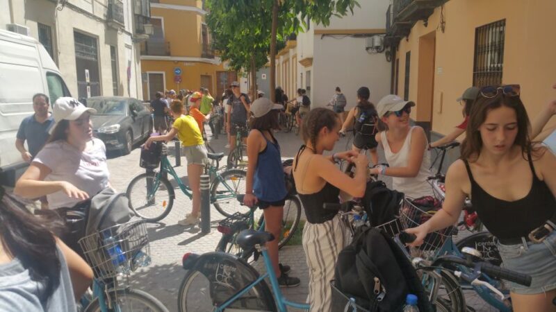 Seville: 1-Day Bike Rental - Cost and Value