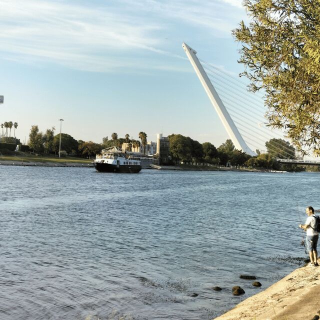 Seville: 1-Hour Guadalquivir River Cruise with Local Guide - How Does This Tour Compare to Other Seville River Experiences?