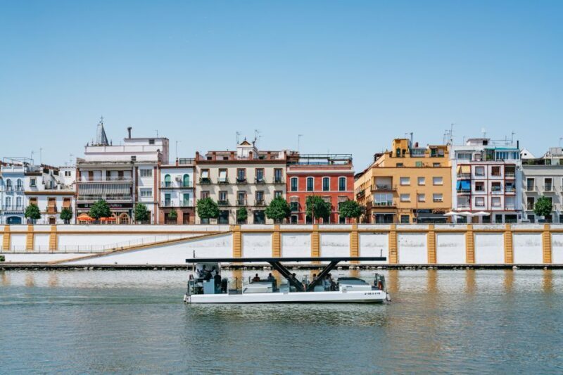Seville: 1-Hour Guadalquivir River Sightseeing Eco Cruise - A Closer Look at the Experience