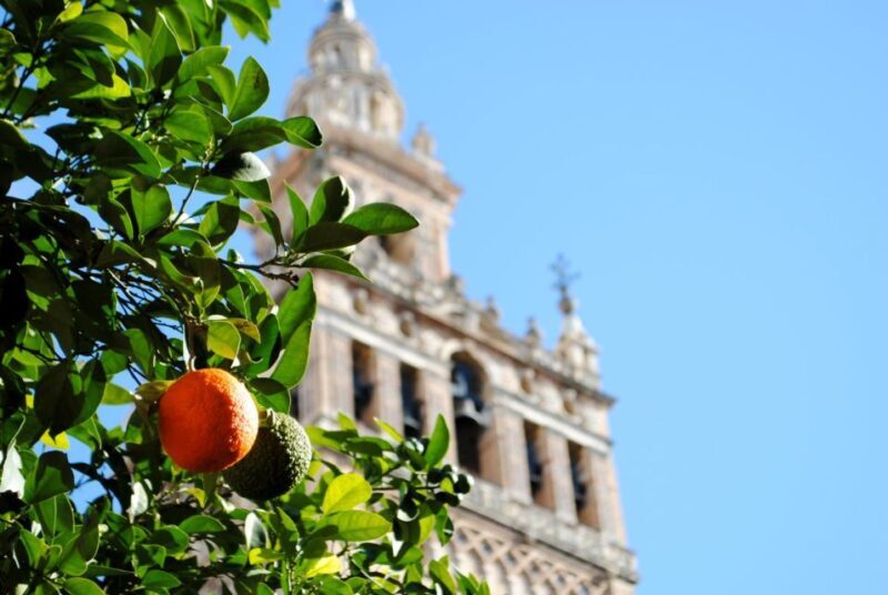Seville 4-Hour Guided Walking Tour - FAQ About the Seville 4-Hour Guided Walking Tour