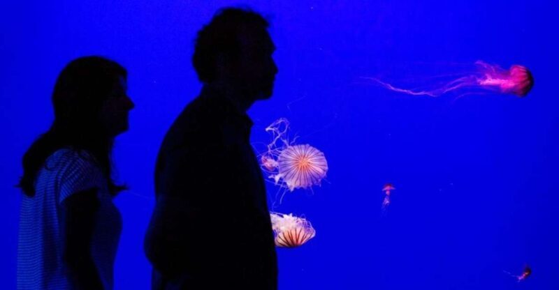 Seville Aquarium Admission Ticket - An Honest Look at the Experience
