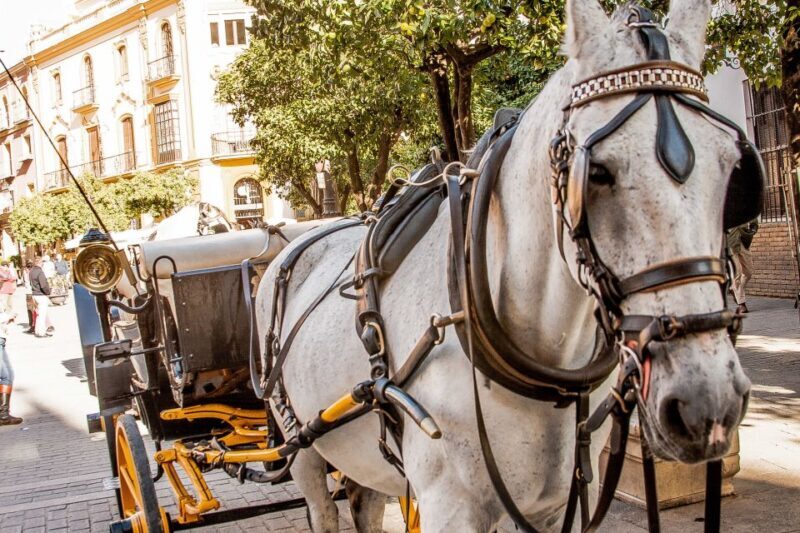 Seville: Authentic and Romantic Horse-Drawn Carriage Ride - Who Should Consider This Tour?