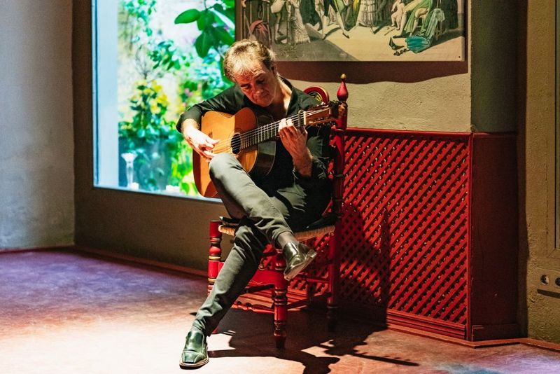 Seville: Casa de la Memoria Flamenco Show - What the Performance Feels Like: From Guitar Rhythm to Emotional Crescendo
