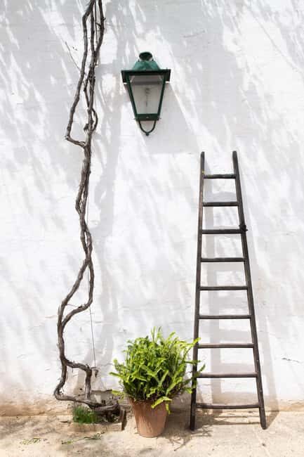 Seville: Check out Bodegas Góngora - Key Points