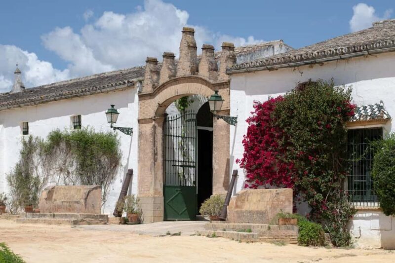 Seville: Check out Bodegas Góngora - The Wine Tasting: Flavors of Andalusia