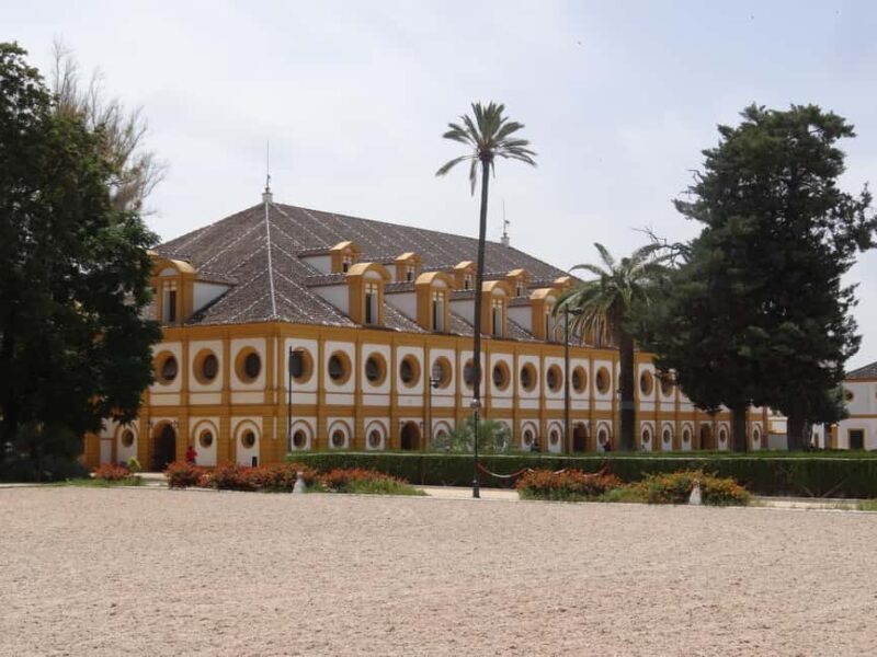 Seville: Day Trip to Cádiz and Jerez de la Frontera - Discovering Cádiz