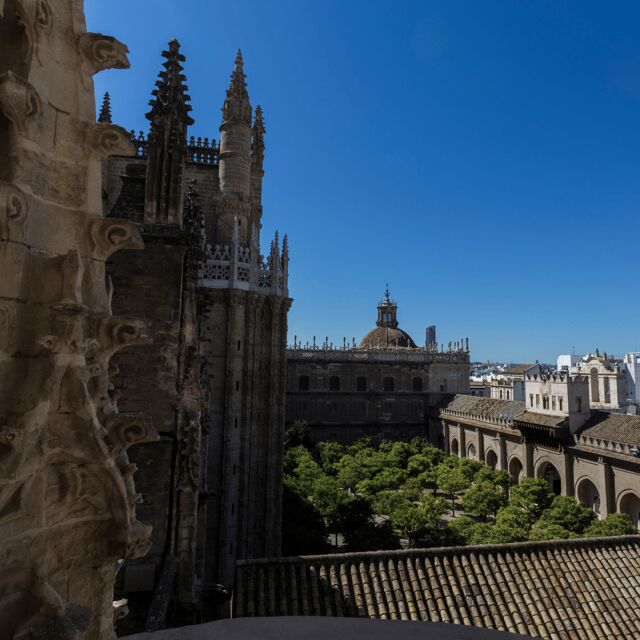 Seville: Fast Track Cathedral Giralda Tower Last minute Tour - Value for Money