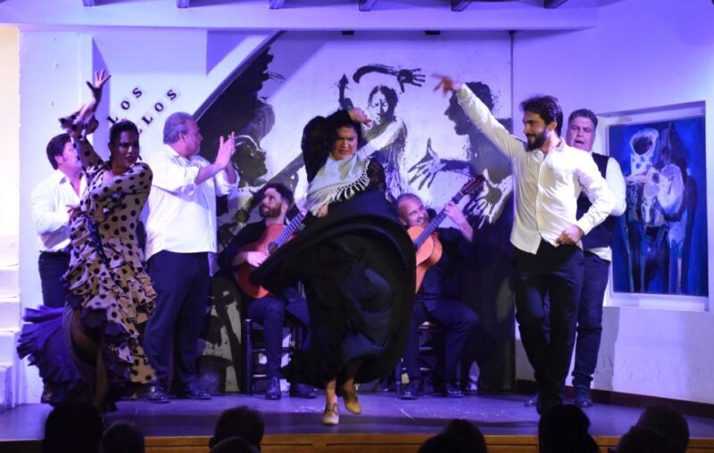 Seville: Flamenco Show at Tablao Los Gallos - Accessibility and Practicalities